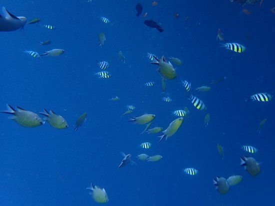 USS Liberty Gemi Enkazı